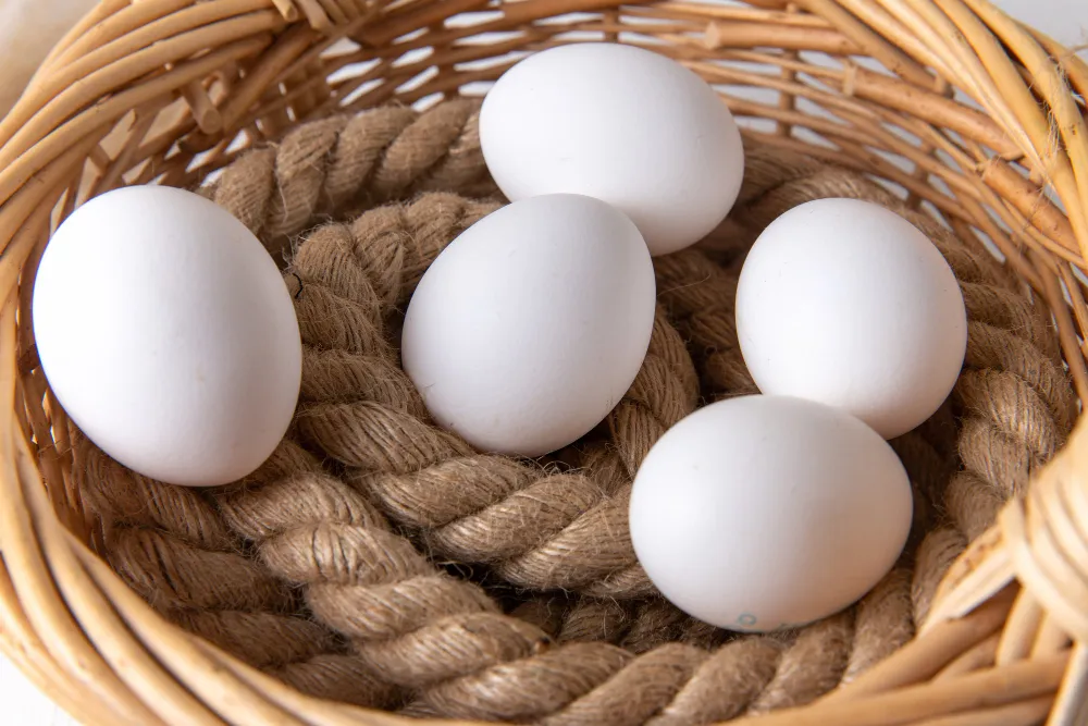 ООО «Советская агрофирма»