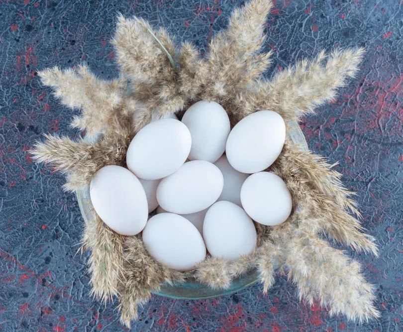 ЗАО «Агрокомплекс «Оредеж»