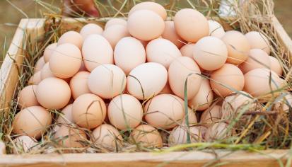 АО «Птицефабрика «Комсомольская»