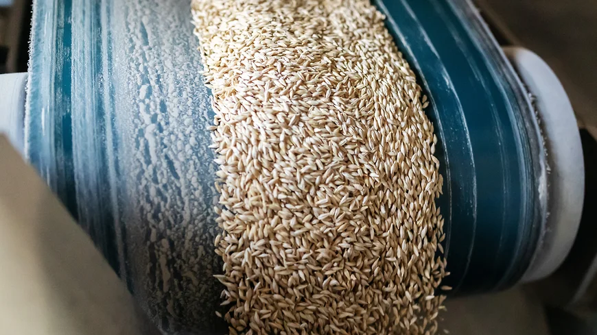 Птицефабрика «Башкирская» вложит 2 млрд рублей в кормоцех в Благоварском районе