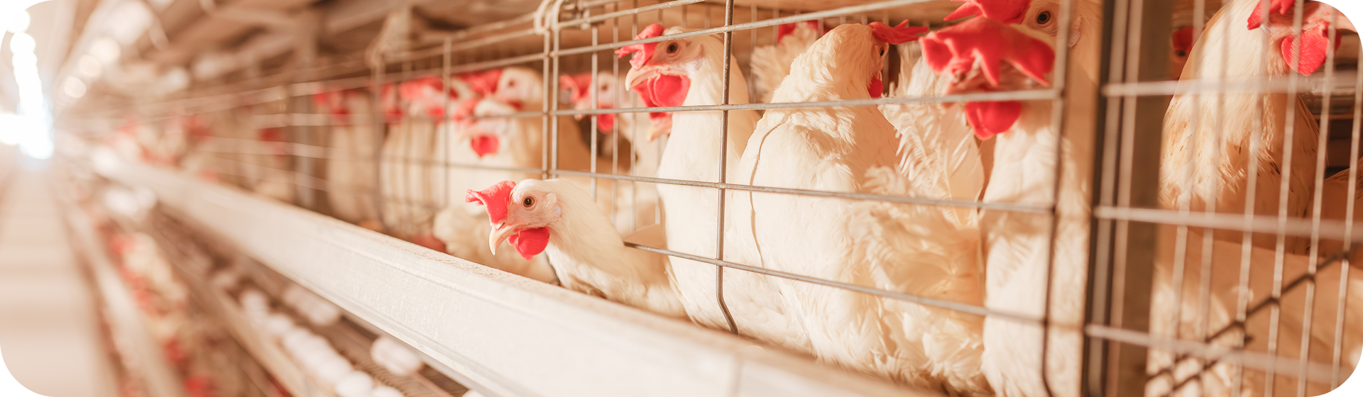 Предприятия